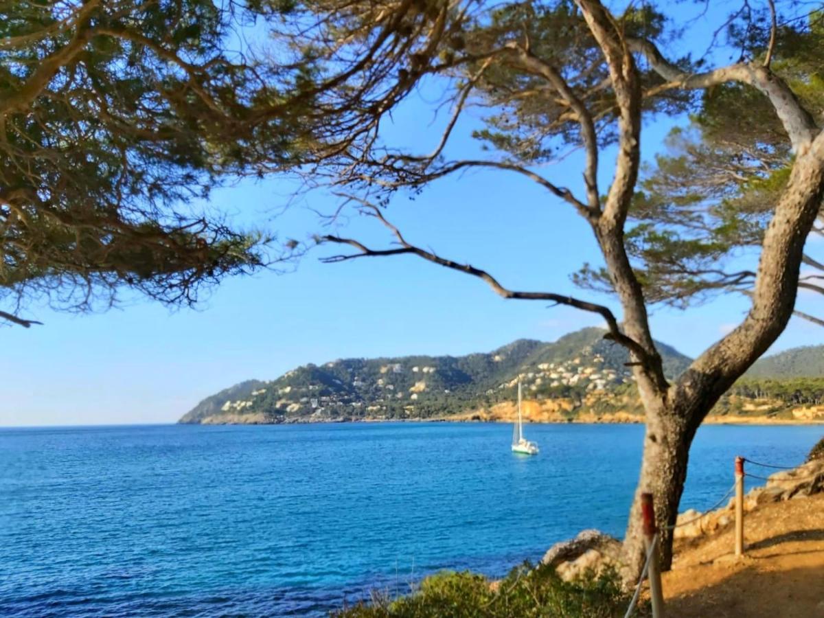 Appartement Brand New Caladoy At 150 Meters From Beach, Pool & Garden, Solarium Canyamel (Mallorca)